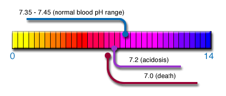 Pulsed Electromagnetic Field (PEMF) Cellular Exercise